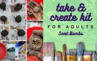 Take and Create kit for Adults: Seed Bombs