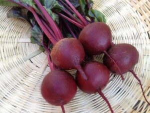 Beet Beet