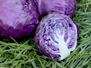 Cabbage, Amarant Red Cabbage, Amarant Red