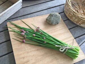 chives