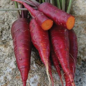 Carrott, Dragon Carrott, Dragon