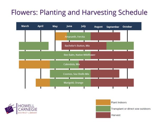 Planting and Harvesting Schedule for Flowers