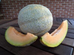 Melon Pride of Wisconsin Melon Pride of Wisconsin