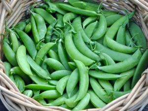 Peas, Sugar Snap Peas, Sugar Snap