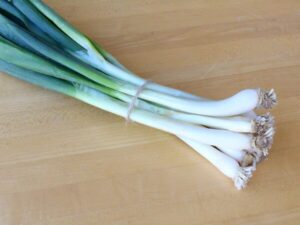 Scallion