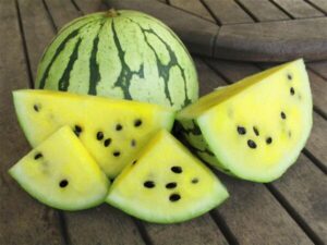 Watermelon, Early Moonbeam (Organic) Watermelon, Early Moonbeam (Organic)